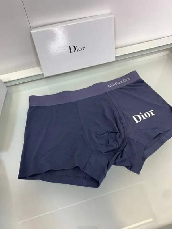 christian dior sous vetementss pour homme s_10707242